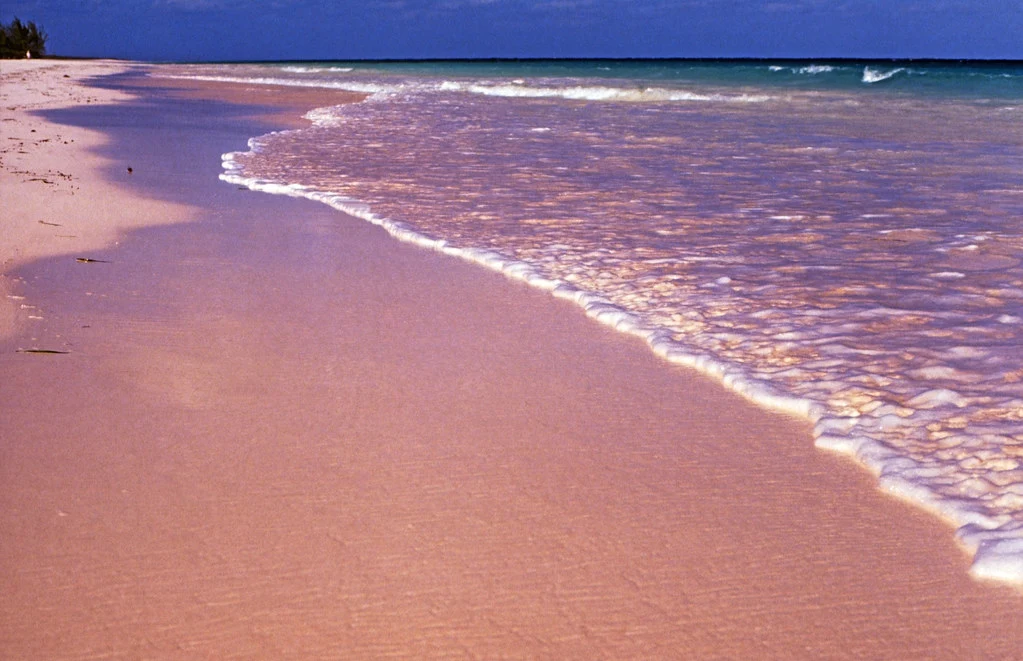 pink sands beach, harbour island, the bahamas